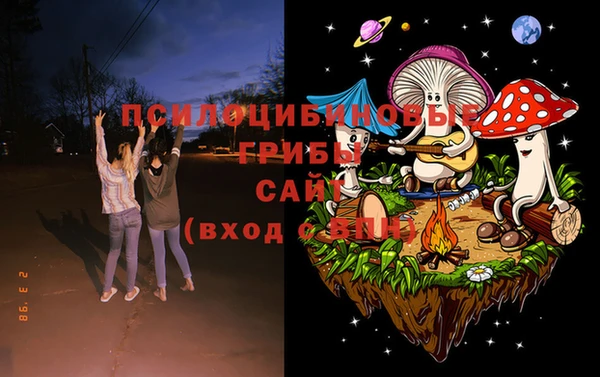 бутират Туринск